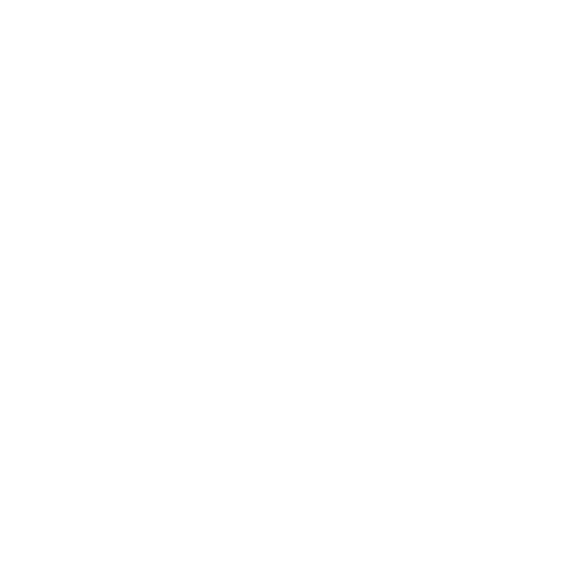 Web Developments service logo